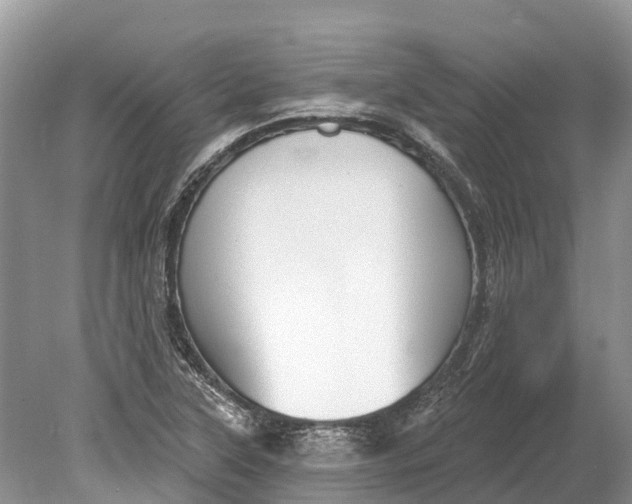 X0000078891315200611271342