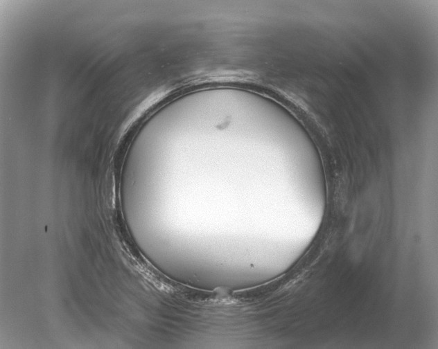 X0000078891317200611271342