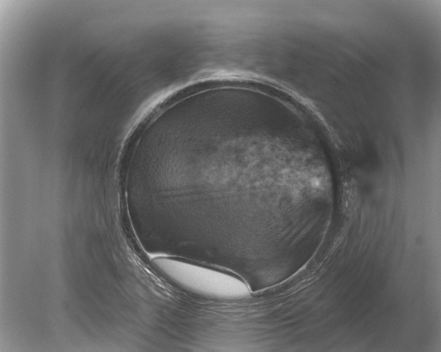 X0000078891319200611271342