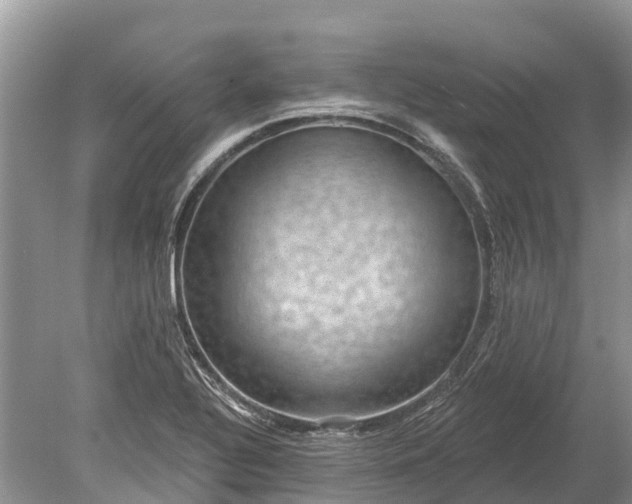 X0000078891320200611271342