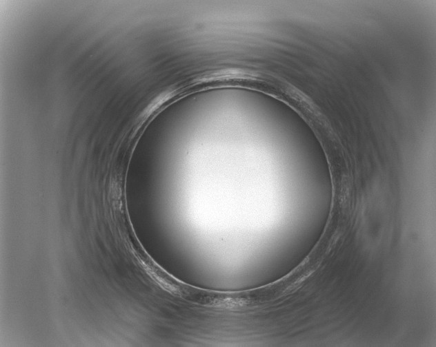 X0000078891321200611271342