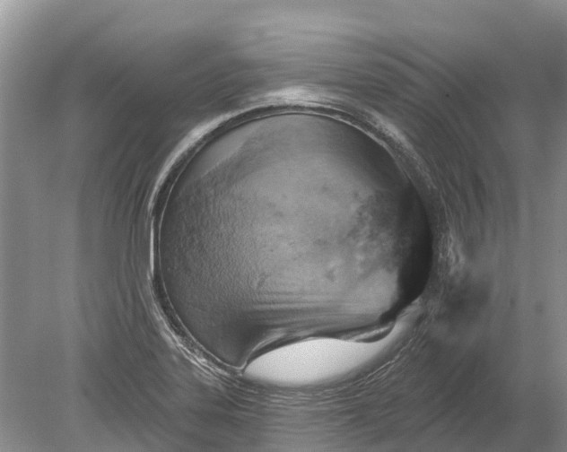 X0000078891323200611271342