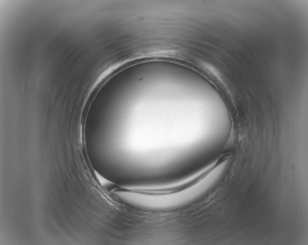 X0000078891324200611271342