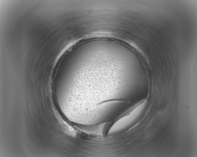 X0000078891325200611271342