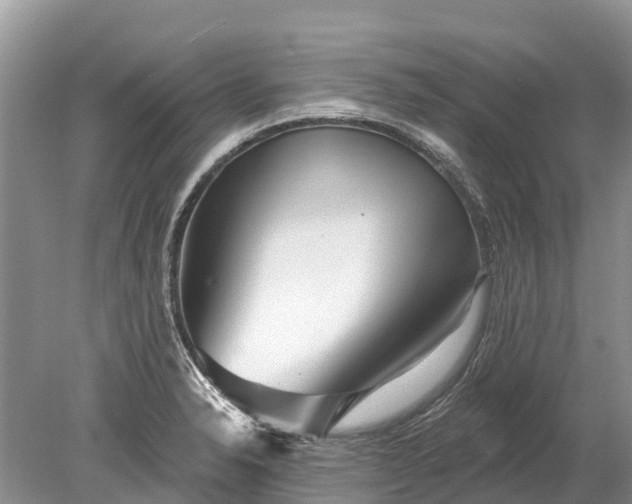 X0000078891326200611271342