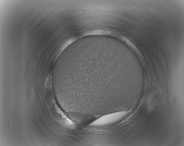 X0000078891329200611271343