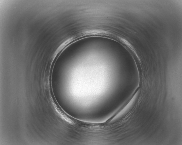 X0000078891330200611271343