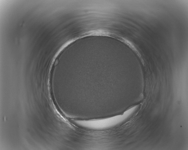 X0000078891331200611271343