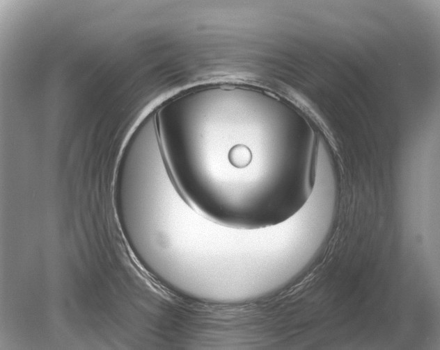 X0000078891332200611271343