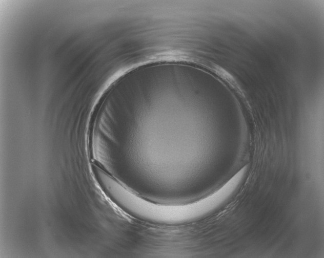 X0000078891334200611271343