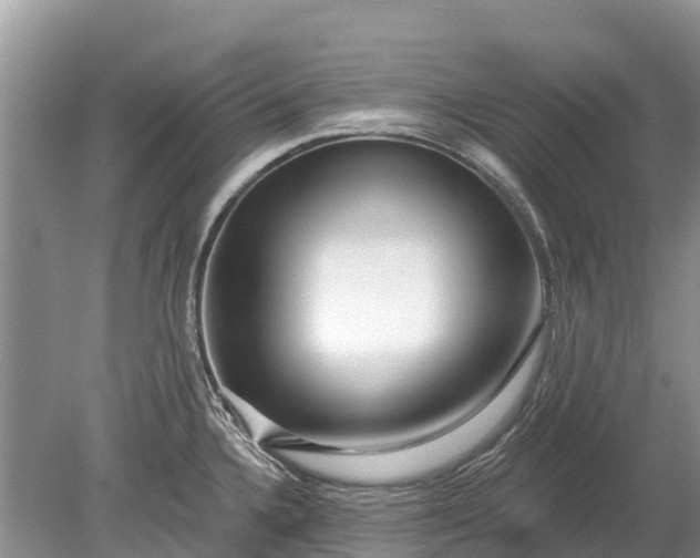 X0000078891336200611271343