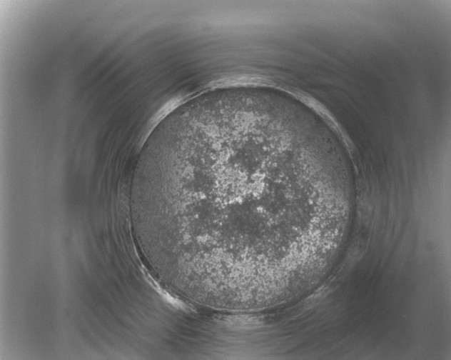 X0000078891337200611271343