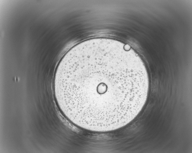 X0000078891338200611271343