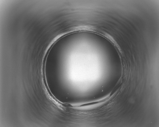 X0000078891339200611271343