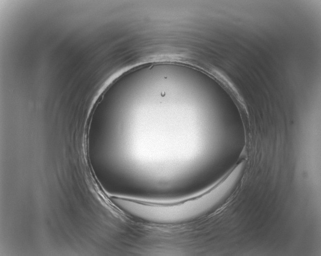 X0000078891340200611271343