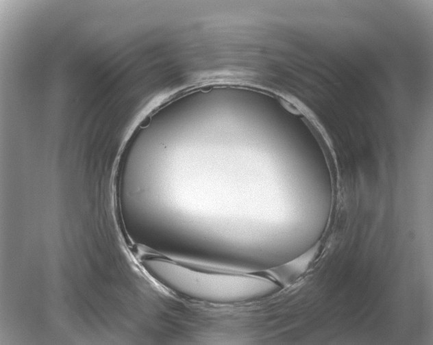 X0000078891341200611271343