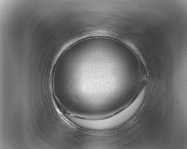 X0000078891342200611271343