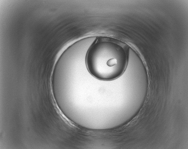 X0000078891344200611271343