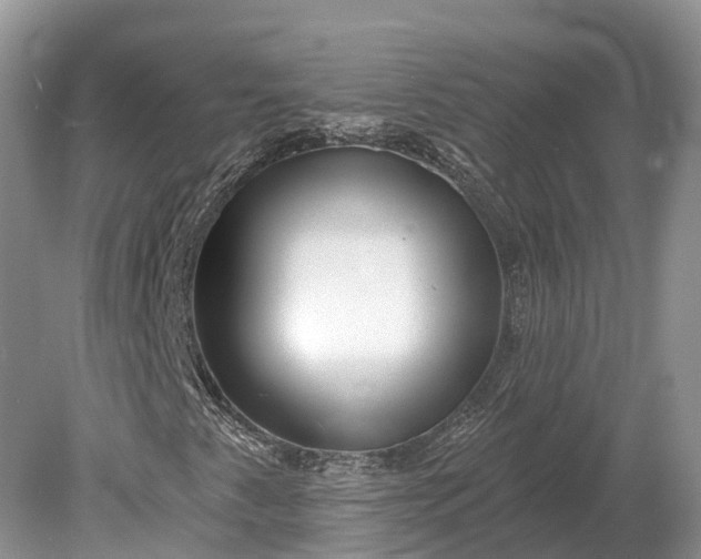 X0000078891345200611271342