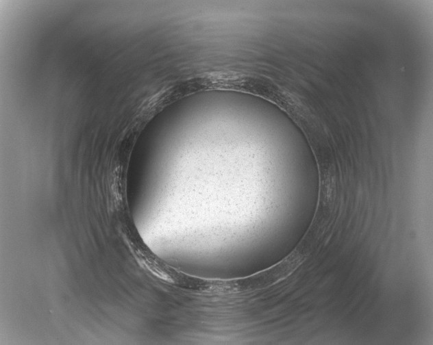 X0000078891346200611271342