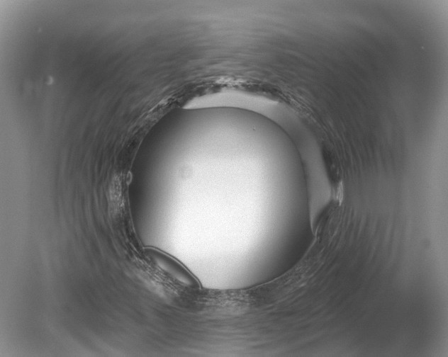 X0000078891347200611271342