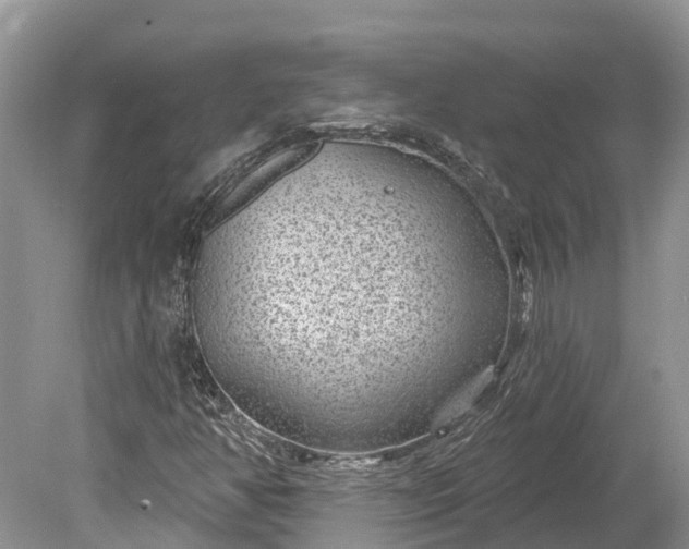 X0000078891350200611271342