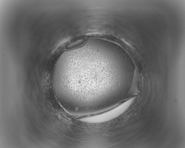 X0000078891351200611271342