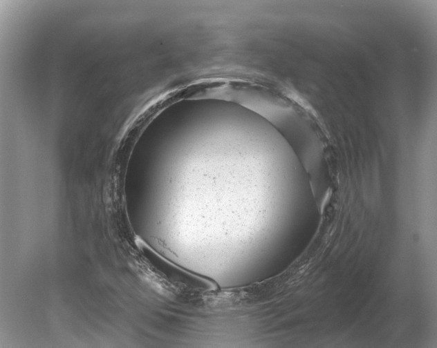 X0000078891352200611271342