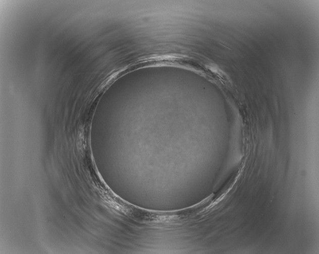 X0000078891353200611271342