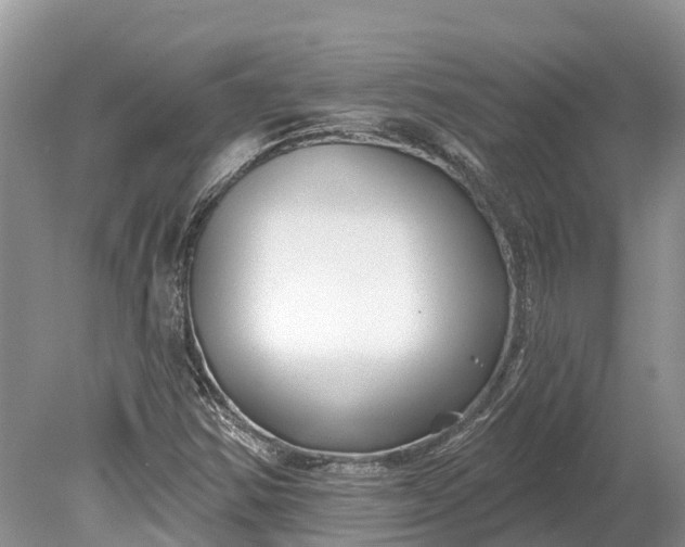 X0000078891354200611271342