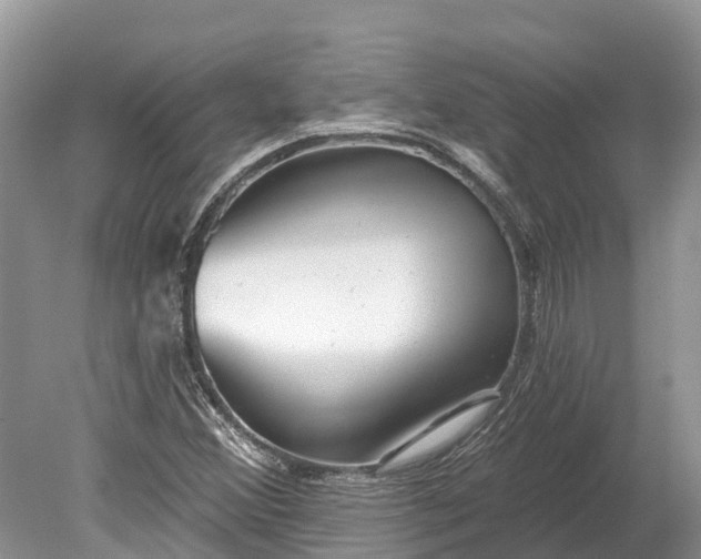 X0000078891356200611271342