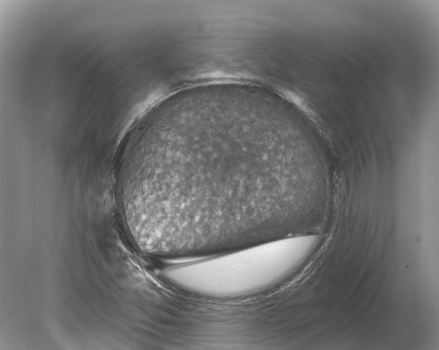 X0000078891357200611271342