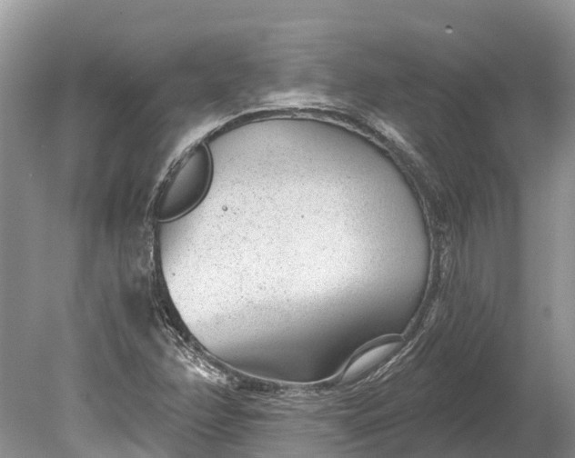 X0000078891358200611271342