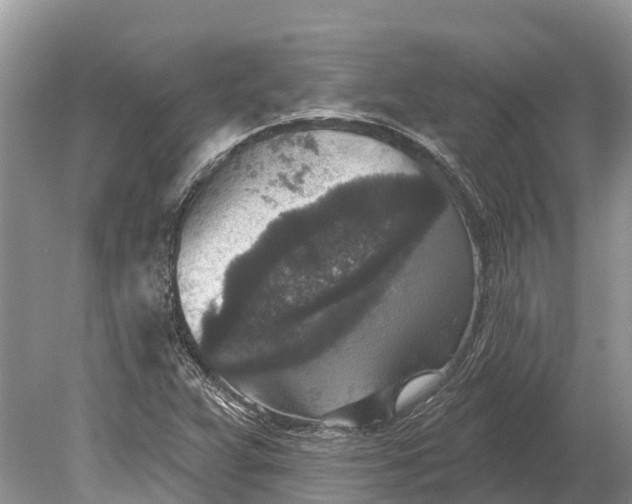 X0000078891359200611271342