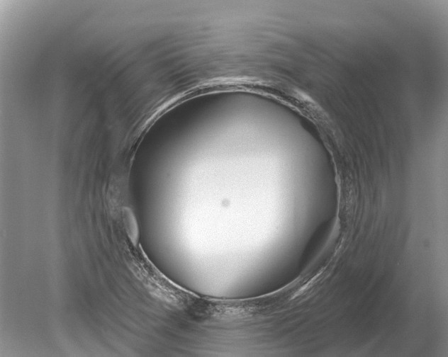 X0000078891361200611271342