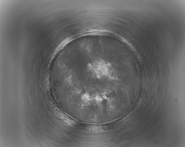 X0000078891362200611271342