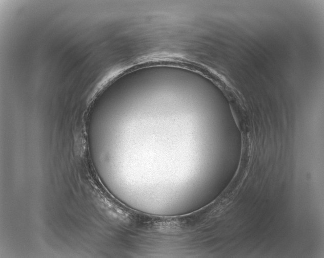 X0000078891363200611271342