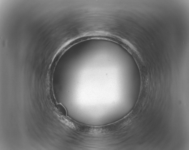 X0000078891364200611271342