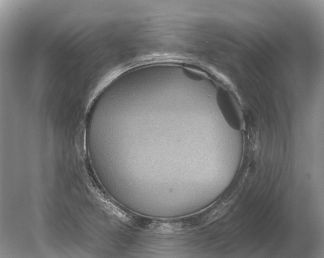 X0000078891365200611271342