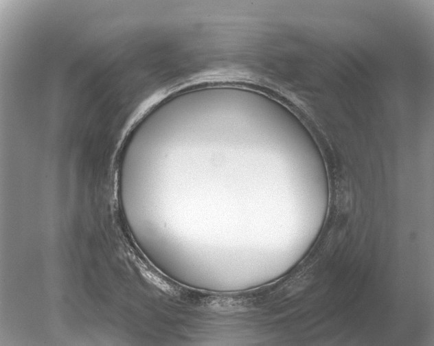 X0000078891366200611271342