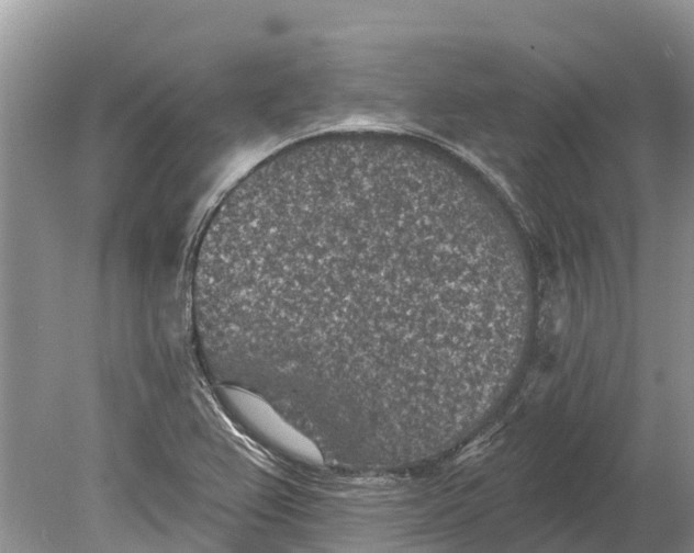 X0000078891367200611271342