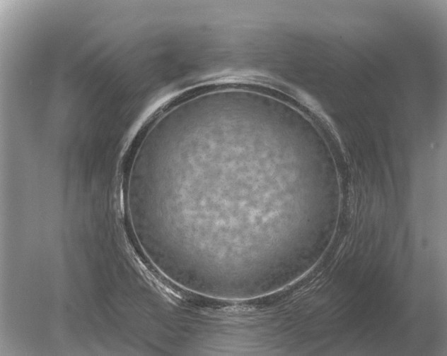 X0000078891368200611271342