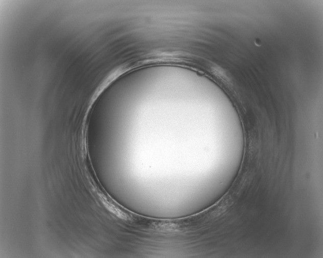 X0000078891370200611271342