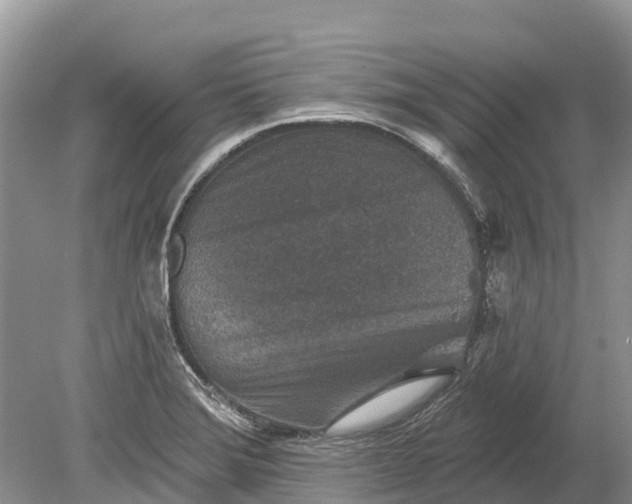 X0000078891372200611271342