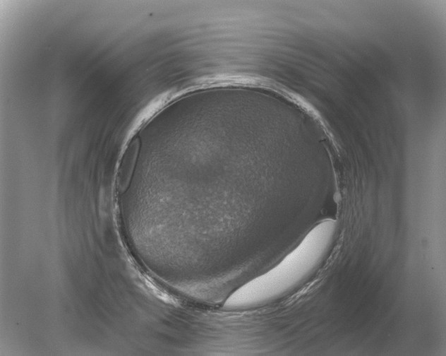 X0000078891373200611271342