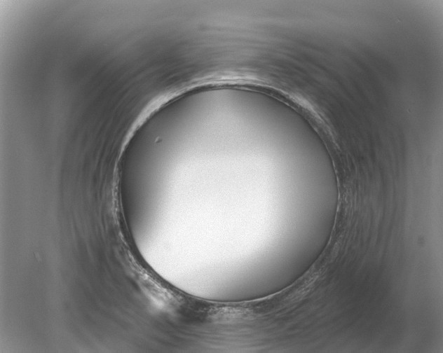 X0000078891374200611271341