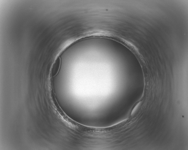 X0000078891375200611271341