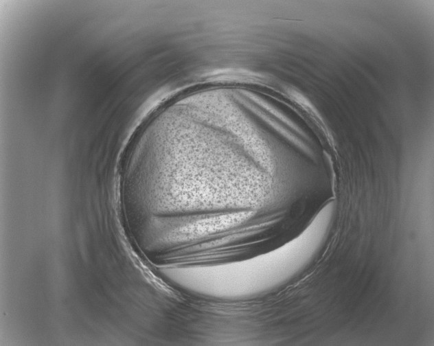 X0000078891376200611271341