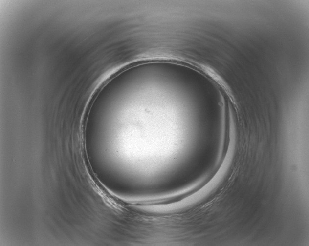 X0000078891380200611271341