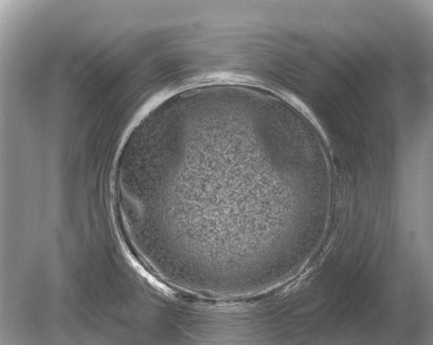 X0000078891381200611271341